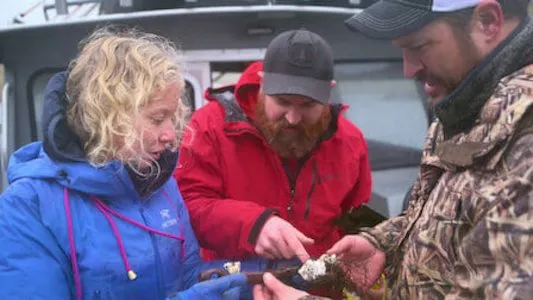 Image Pirate Gold of Adak Island 5