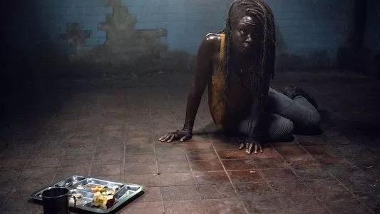 Image The Walking Dead 13