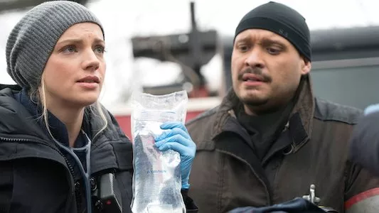 Image Chicago Fire 15