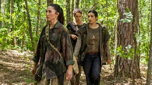 Image The Walking Dead 6