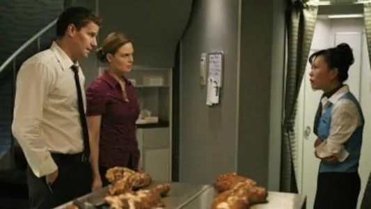 Image Bones 10
