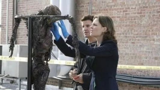 Image Bones 11