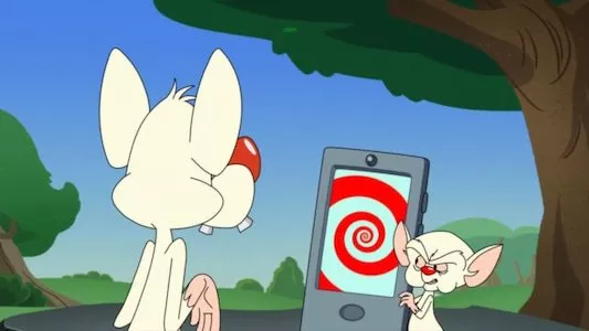 Image Animaniacs 3